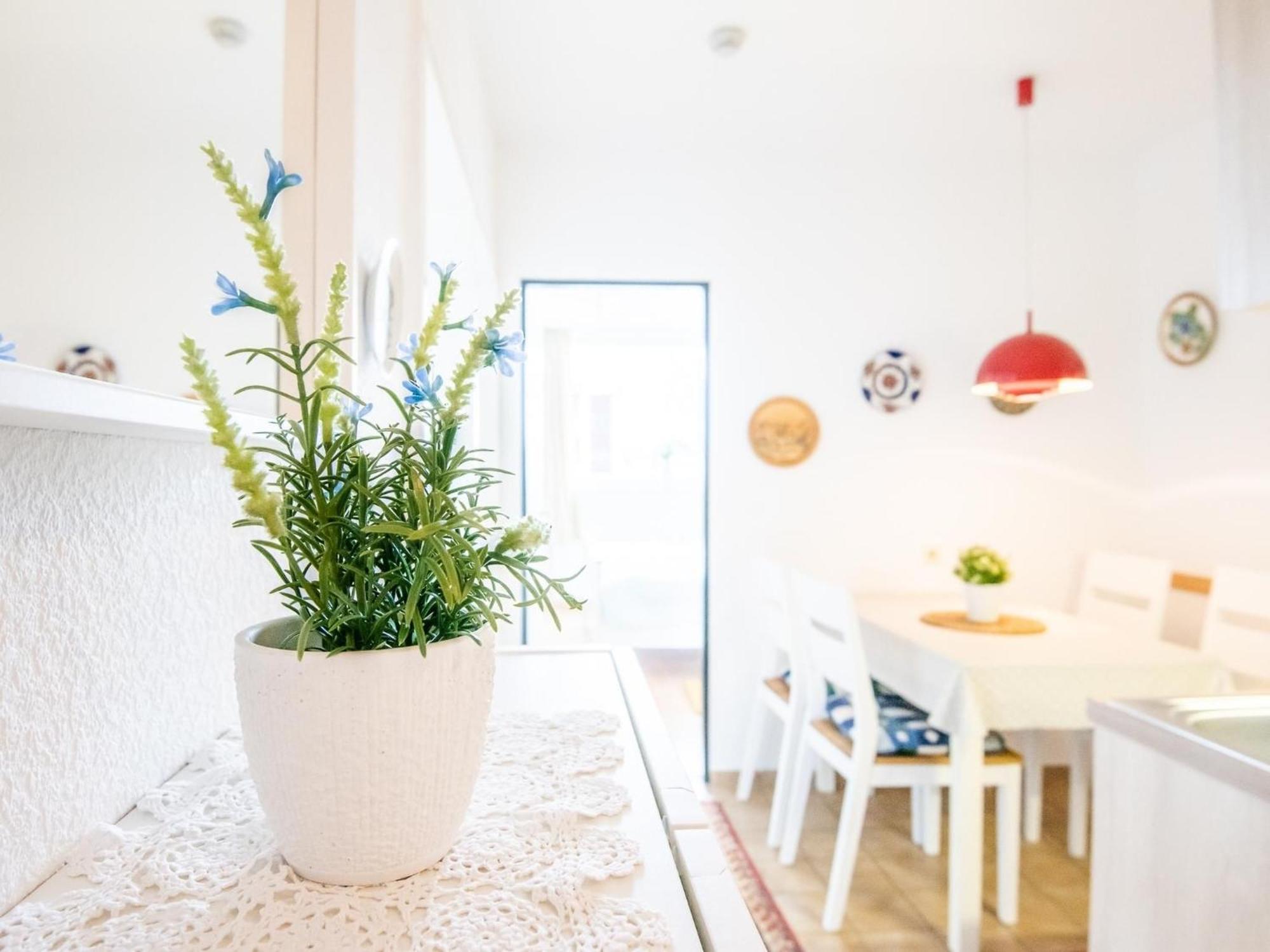 Haus Meeresblick Wohnung 24 Kellenhusen Exterior foto